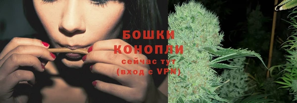 spice Арсеньев
