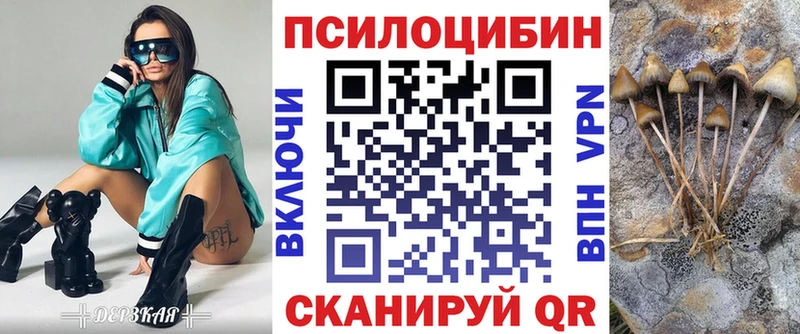 Псилоцибиновые грибы Magic Shrooms  хочу наркоту  Гдов 